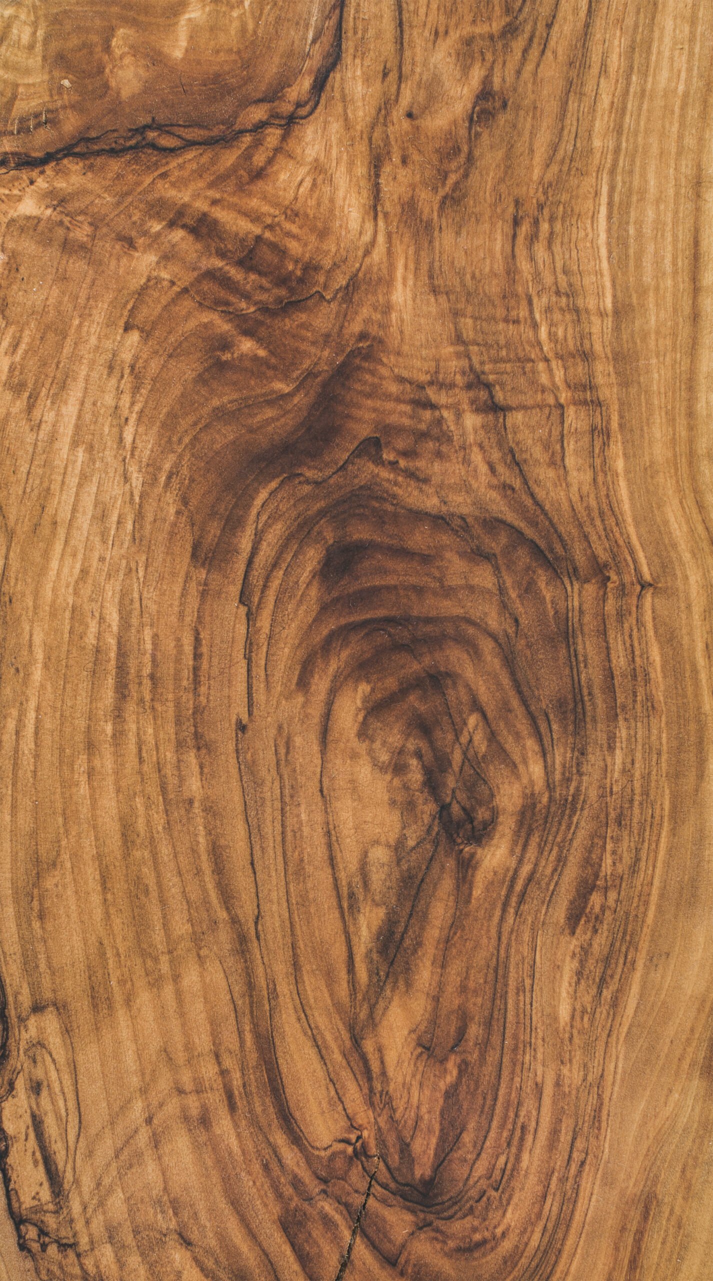 Oak wood texture