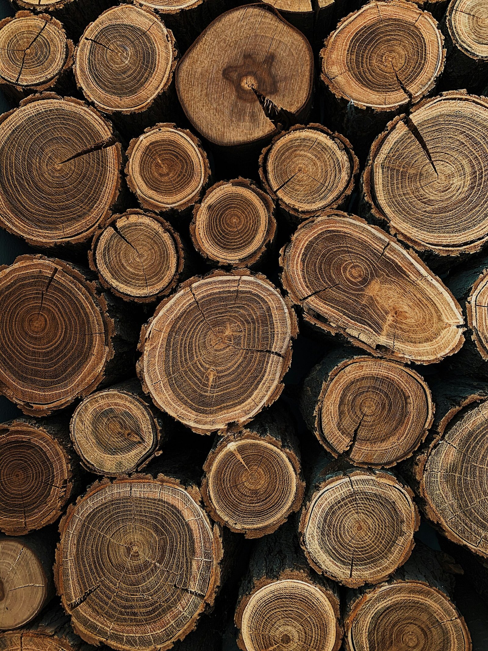 Natural wood sections